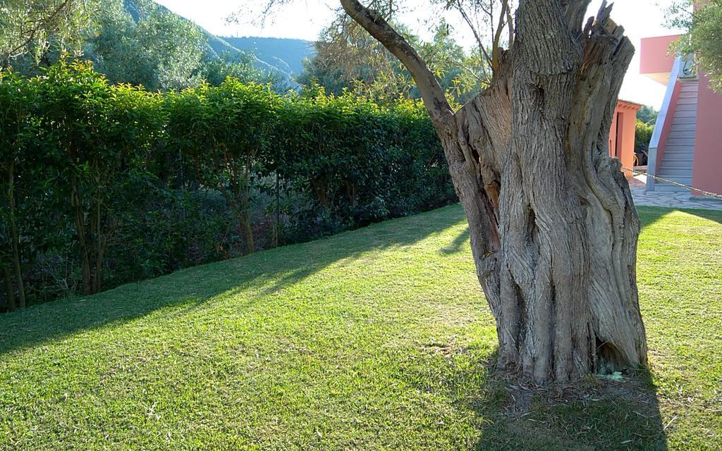 Ionian Breeze Apartment Frinion